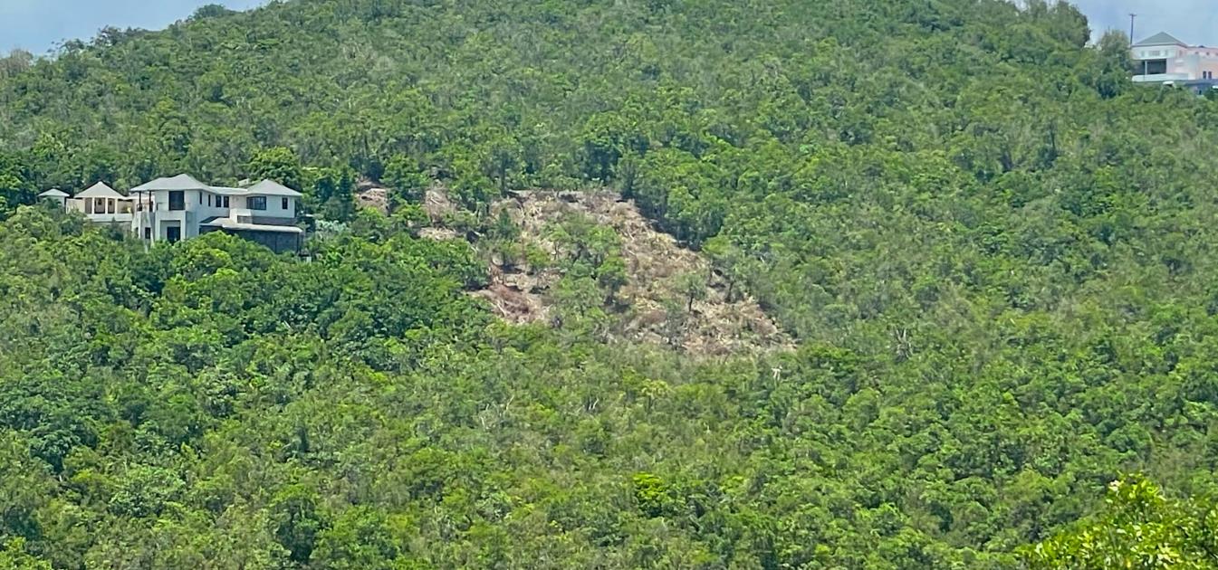 Friendship Heights Lot 25