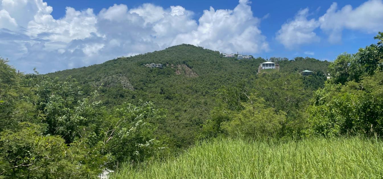 Friendship Heights Lot 25