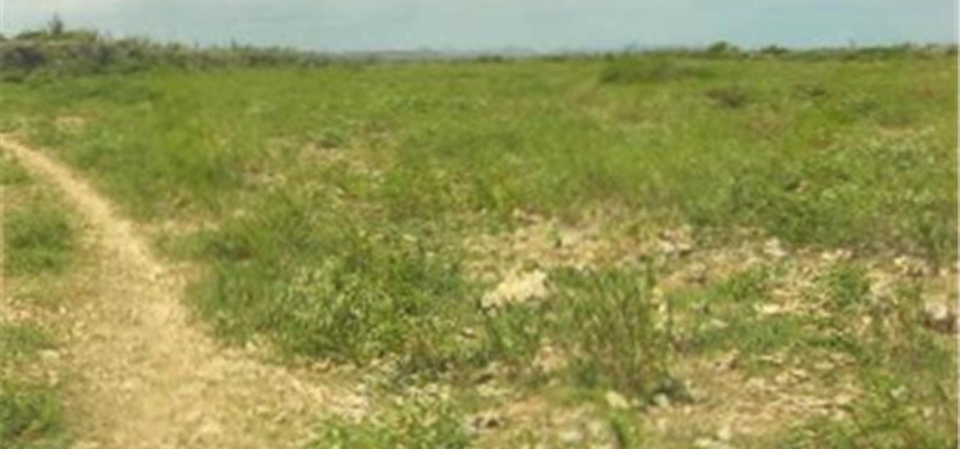 12 acre Yatu Baku