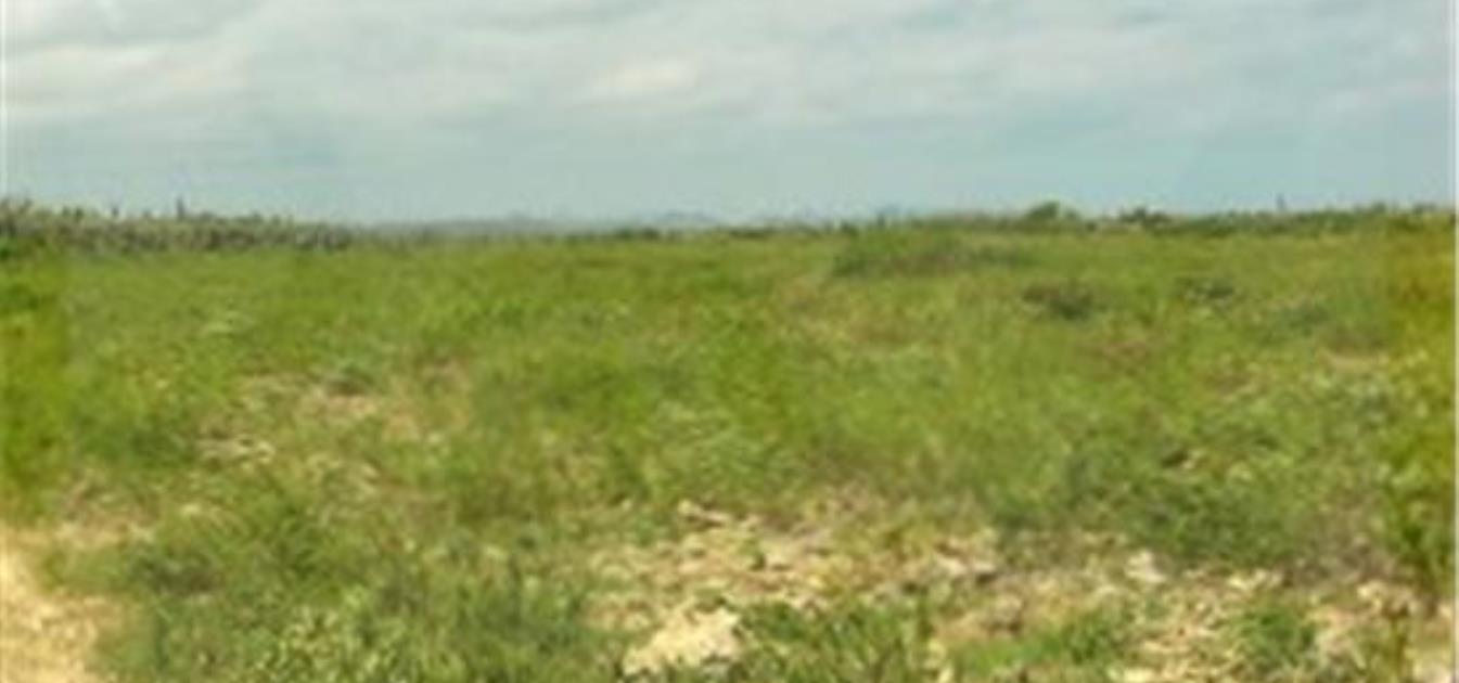 12 acre Yatu Baku