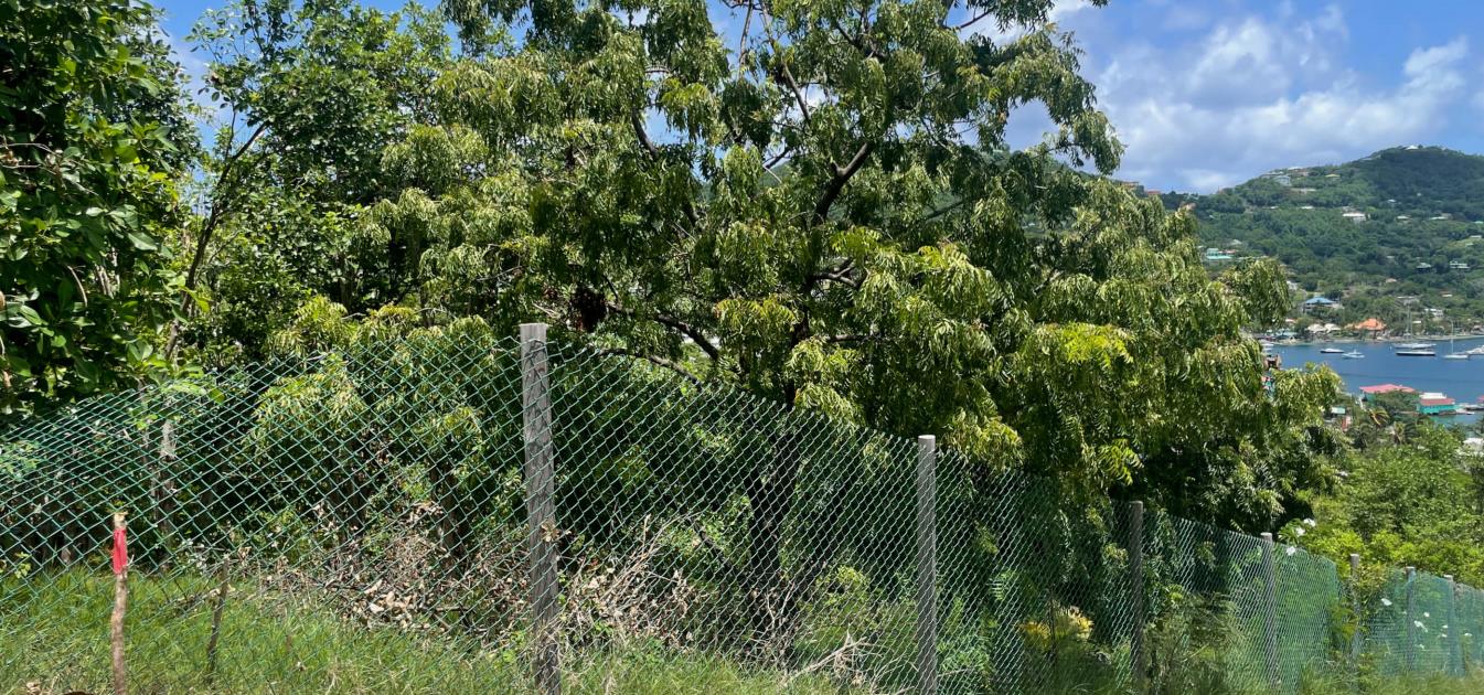 Prime Building Plot in Ocar