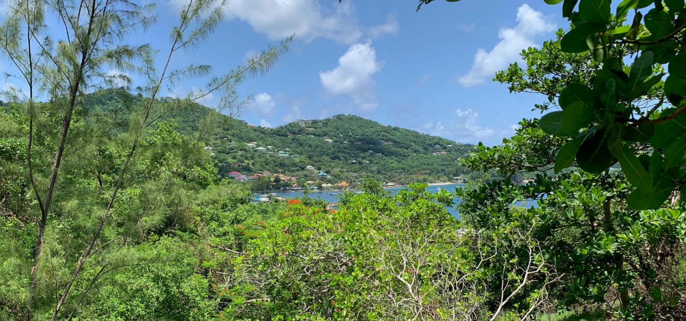 Prime Building Plot in Ocar