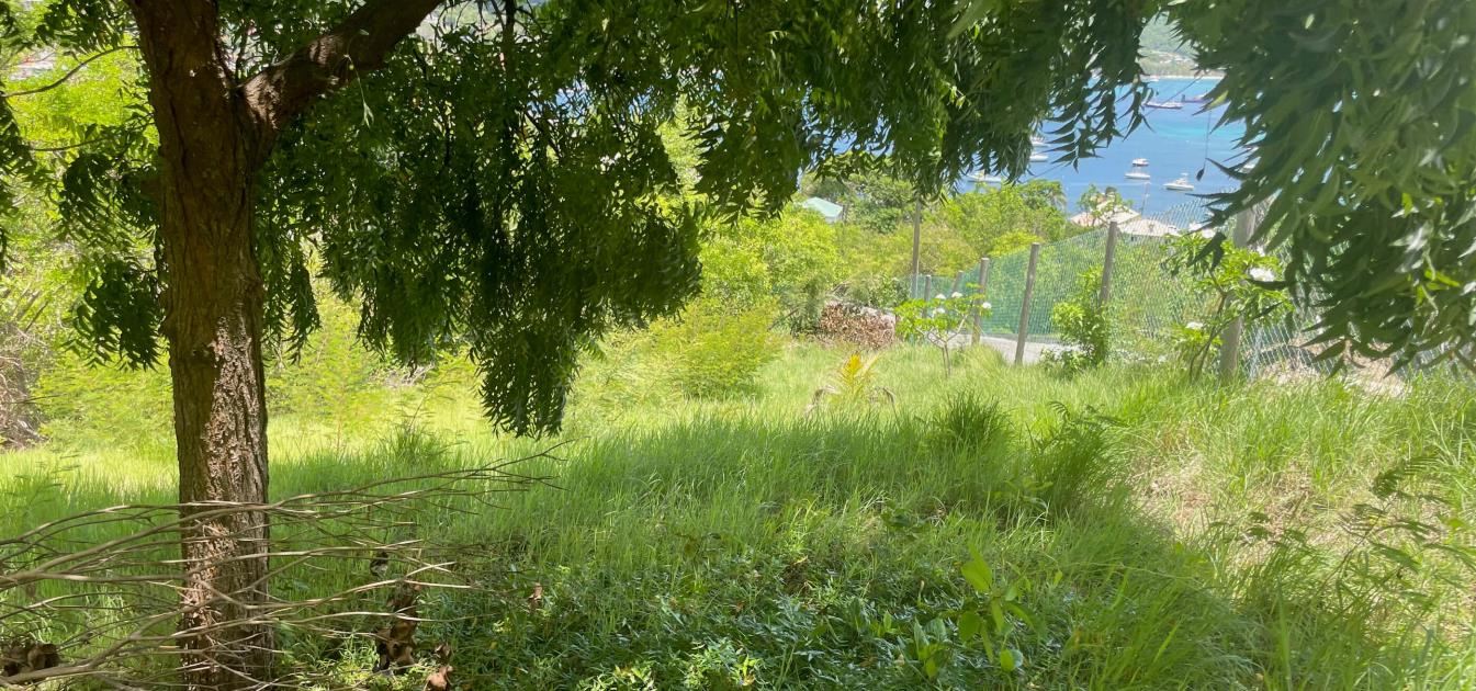 Prime Building Plot in Ocar