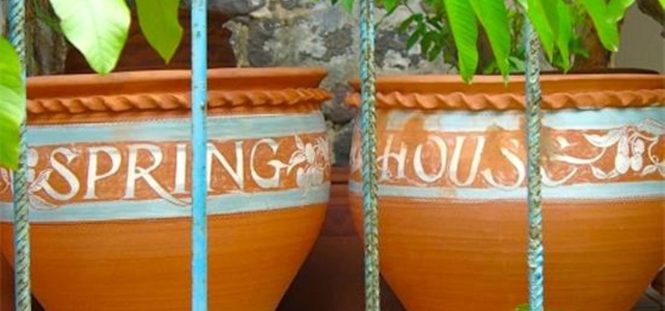 vacation-rentals/st-vincent-and-the-grenadines/bequia/spring/spring-house-bandb