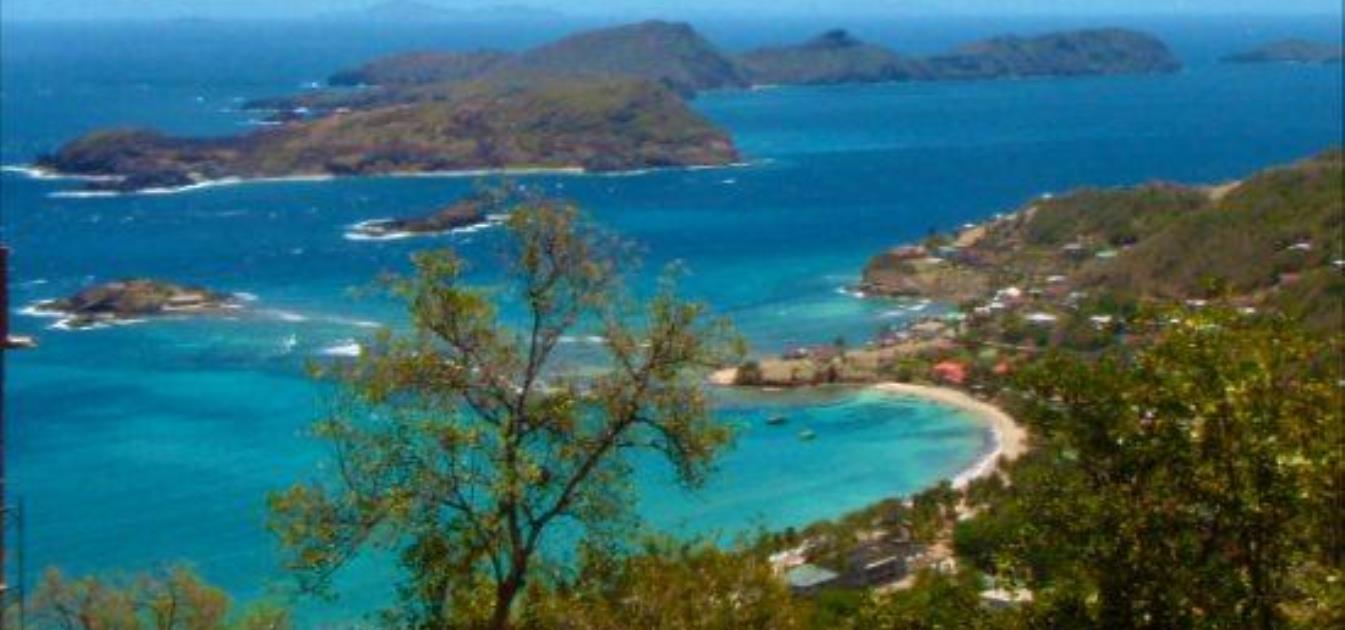 Friendship Groves Plot 1