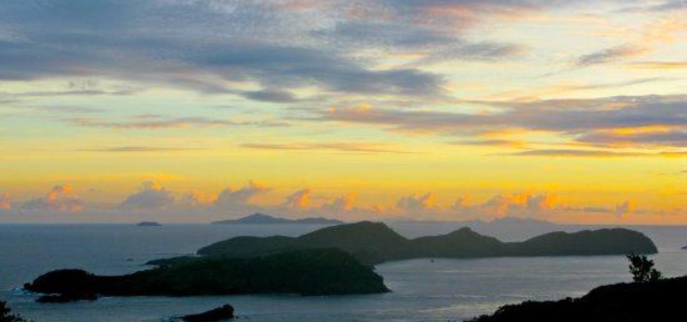 Friendship Groves Plot 1