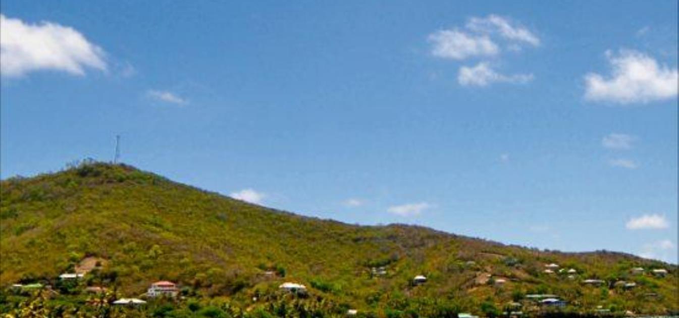 Friendship Groves Plot 1