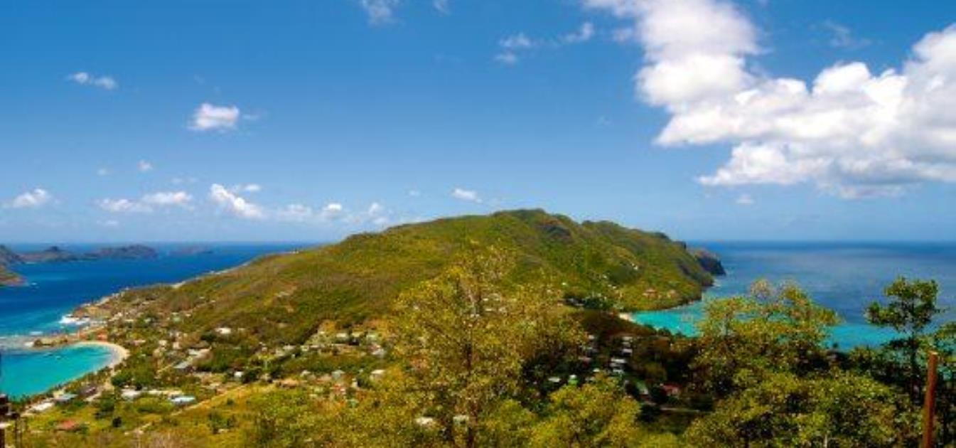 Friendship Groves Plot 1