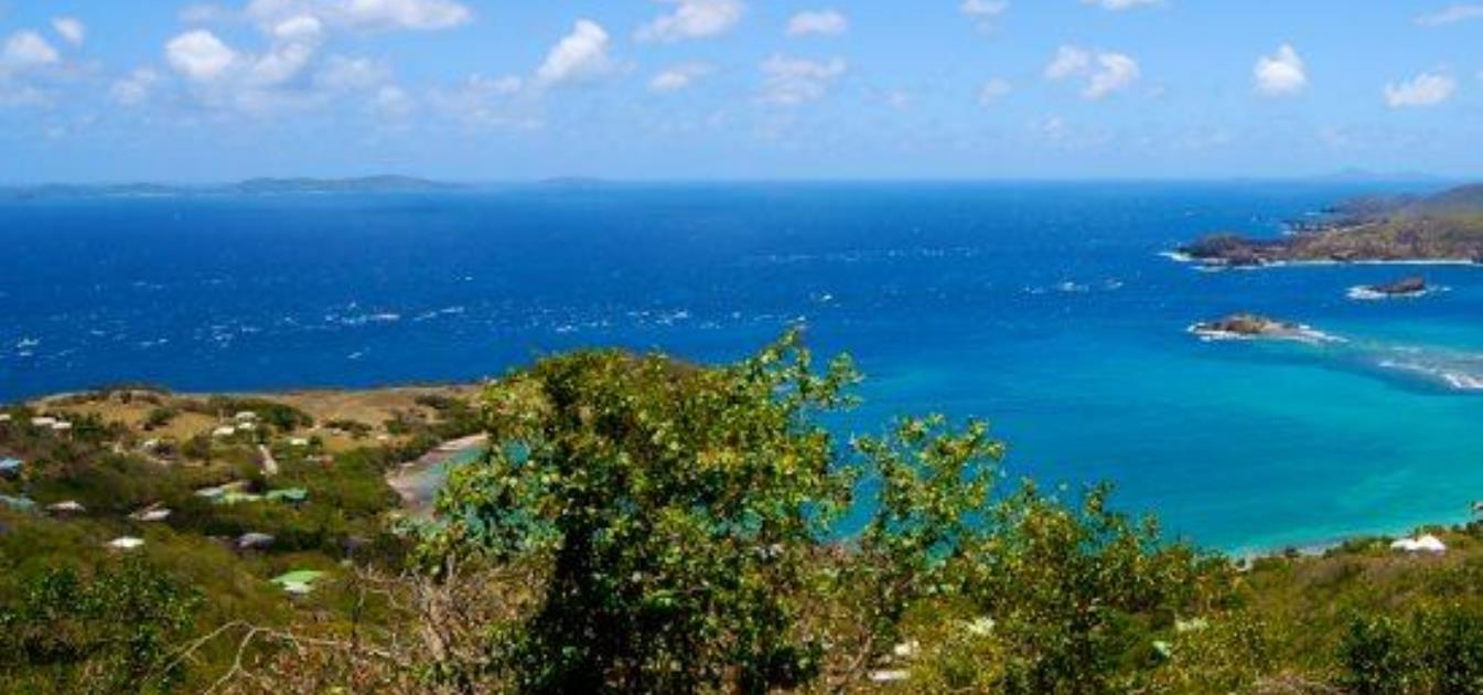 Friendship Groves Plot 1