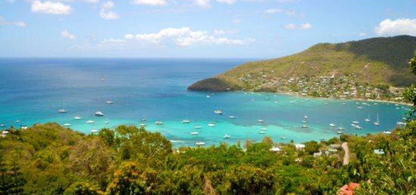 Friendship Groves Plot 1