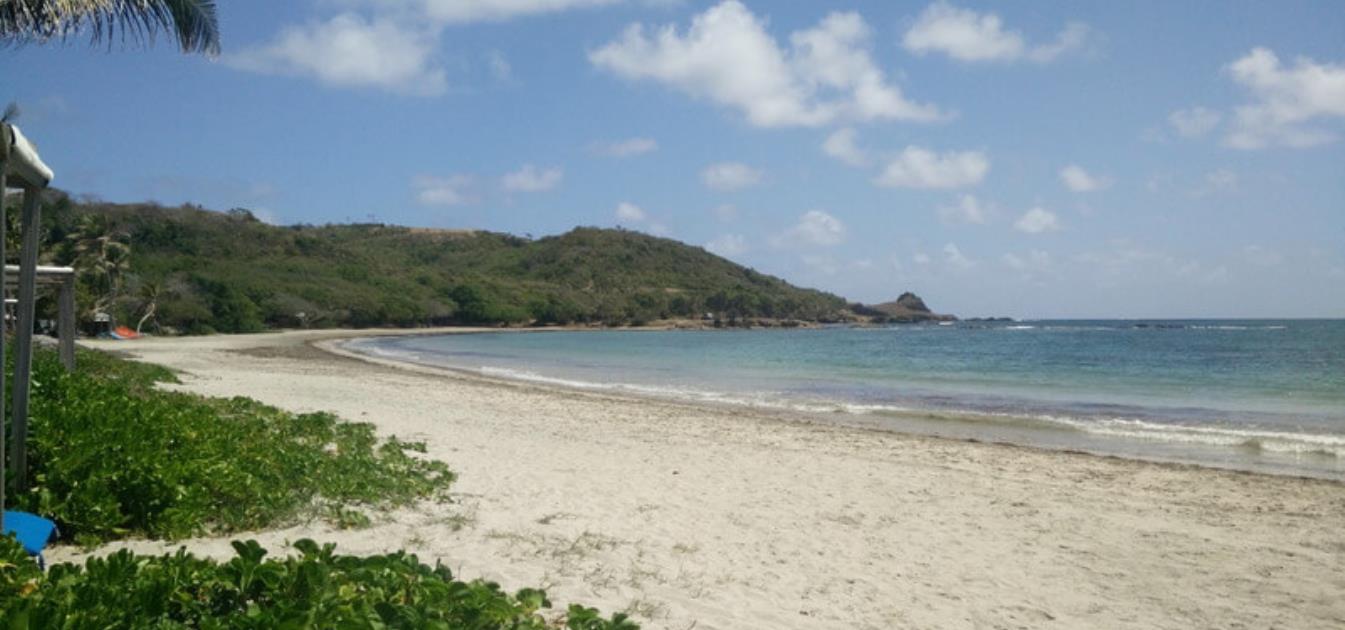 Cap Cove 81