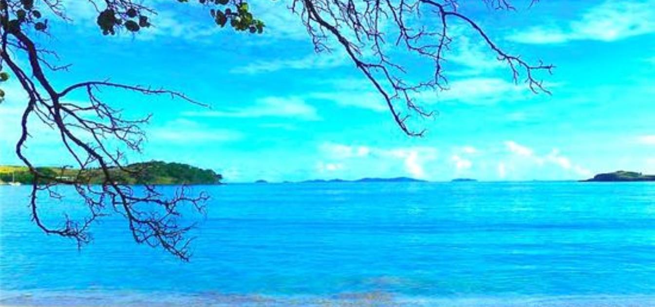 vacation-rentals/st-vincent-and-the-grenadines/bequia/friendship-bay/sugarapple-beach-cottage-2