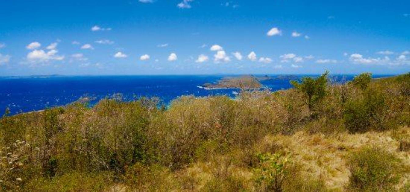 Friendship Groves Lot 30