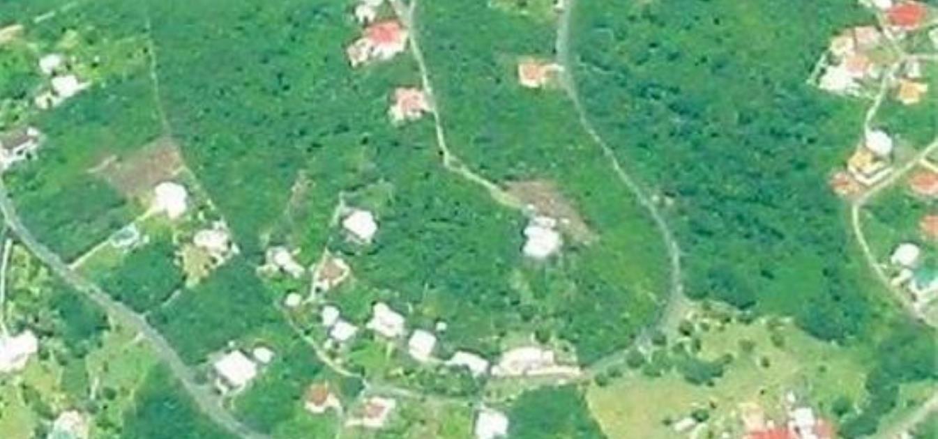 vacation-rentals/grenada/grenada-island/westerhall-point/nutmeg-suite