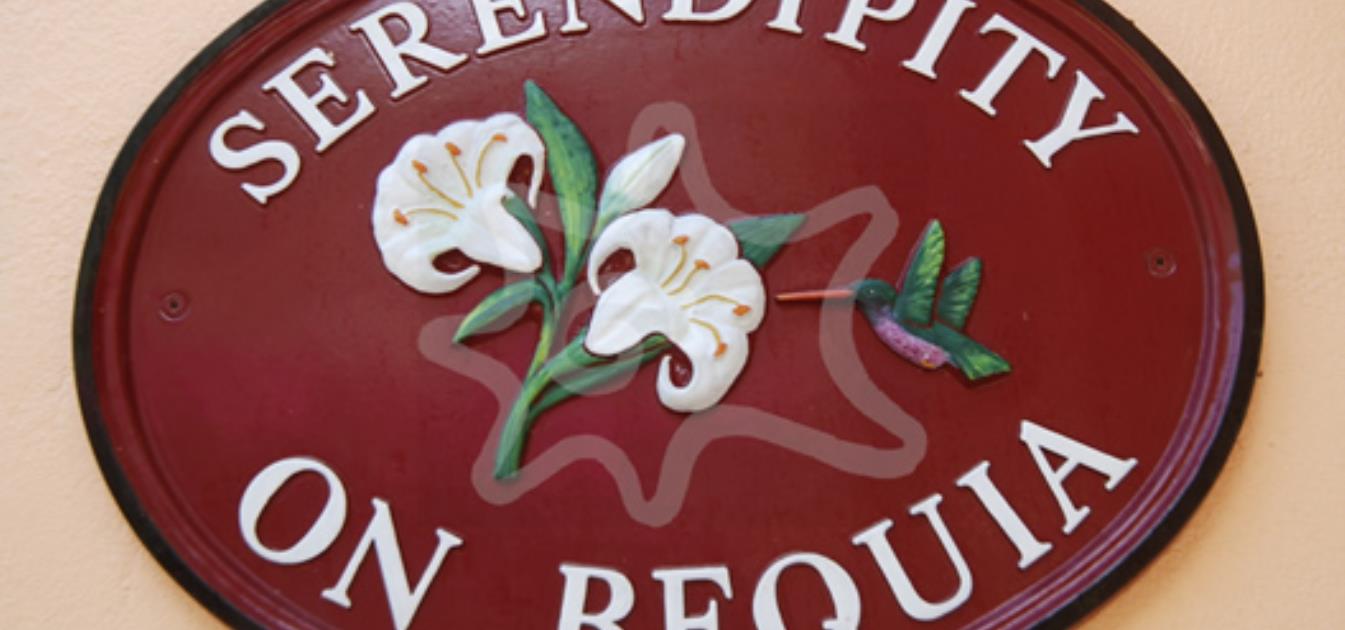 vacation-rentals/st-vincent-and-the-grenadines/bequia/spring/serendipity