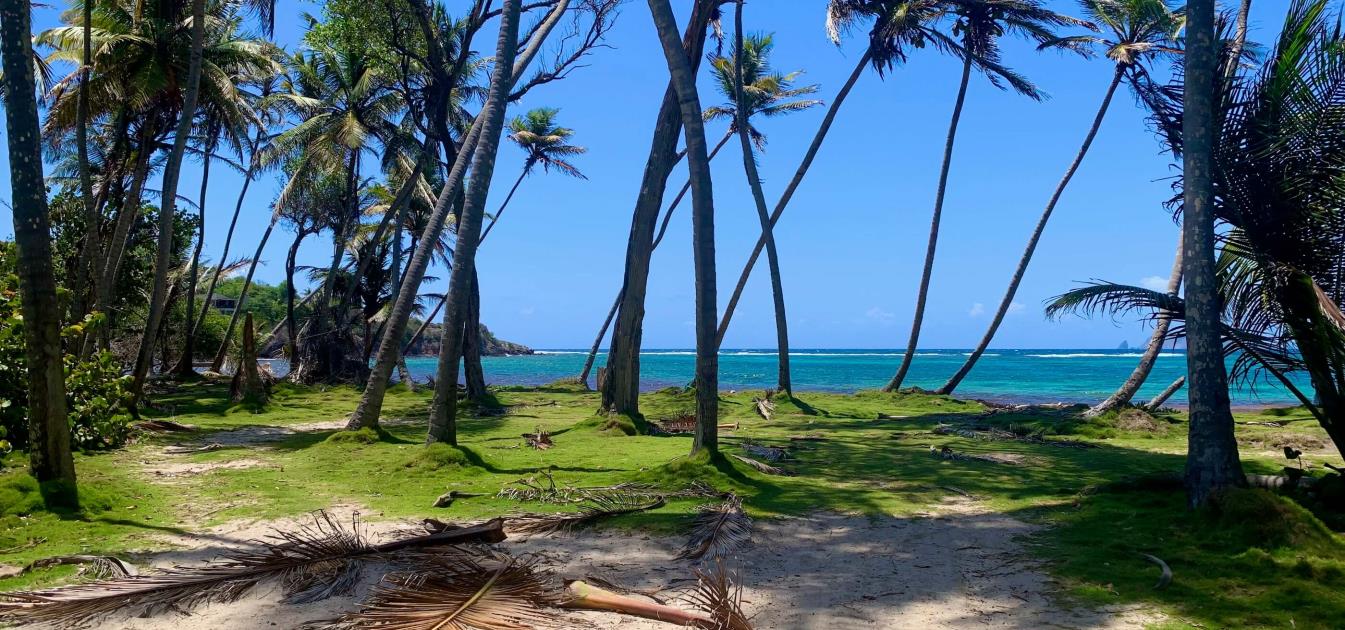 Crown Point Land GR 991 Lot 6