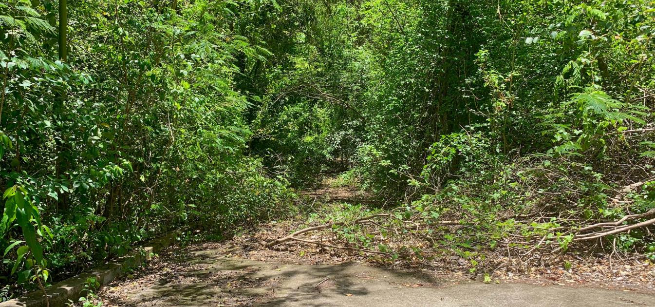 Crown Point Land GR 991 Lot 6