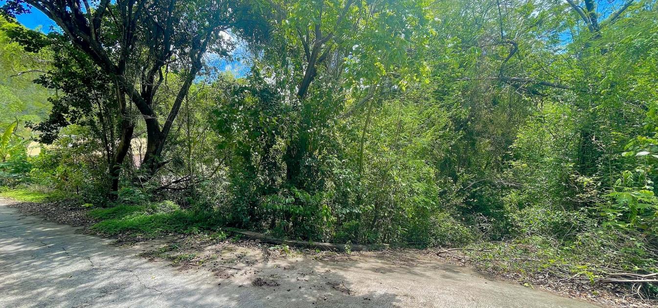 Crown Point Land GR 991 Lot 6
