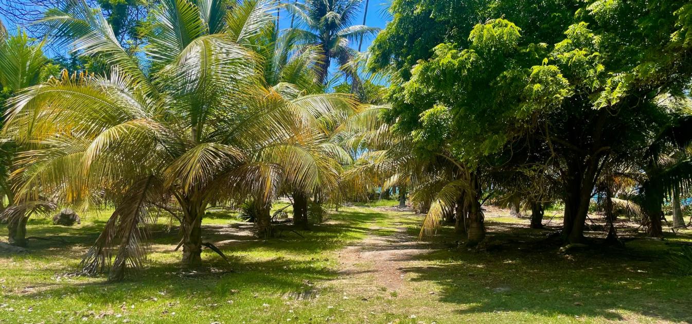 Crown Point Land GR 991 Lot 6