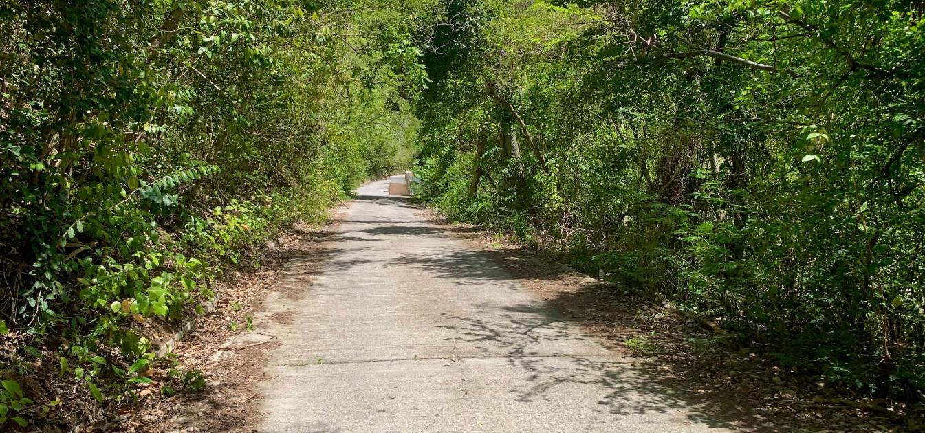 Crown Point Land GR 991 Lot 6