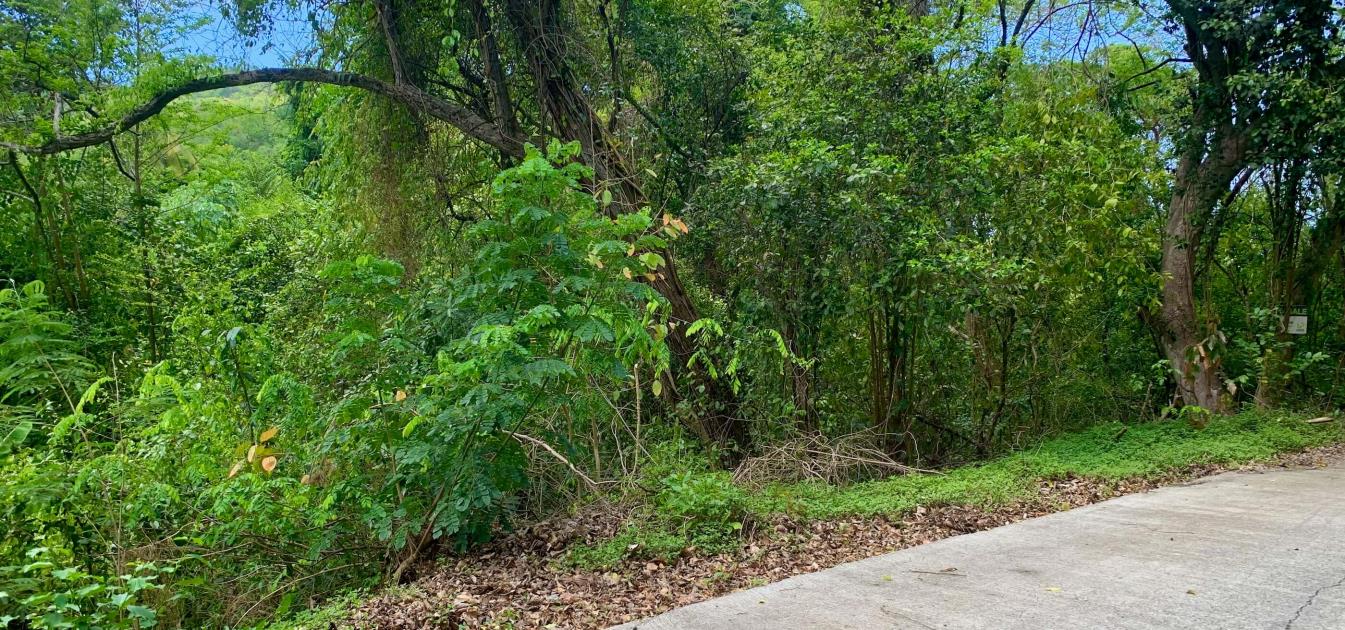 Crown Point Land GR 991 Lot 6