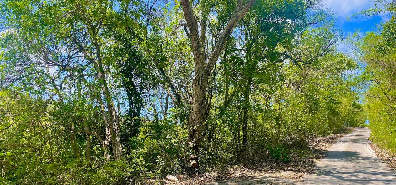 Crown Point Land GR 991 Lot 6