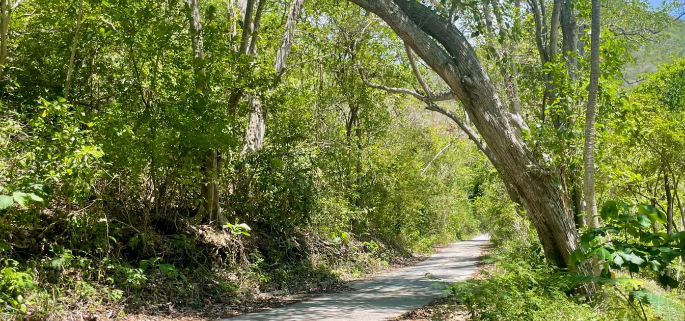 Crown Point Land GR 991 Lot 6