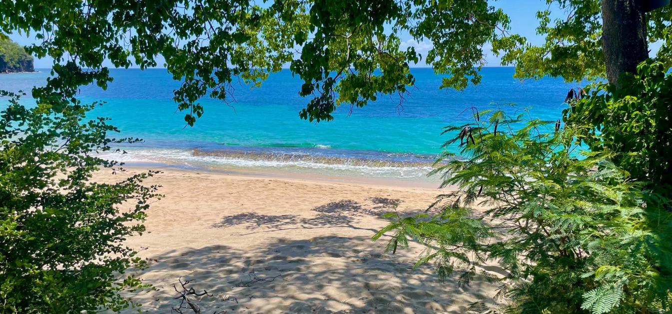 Lower Bay 1 Acre Prime Beachfront Land