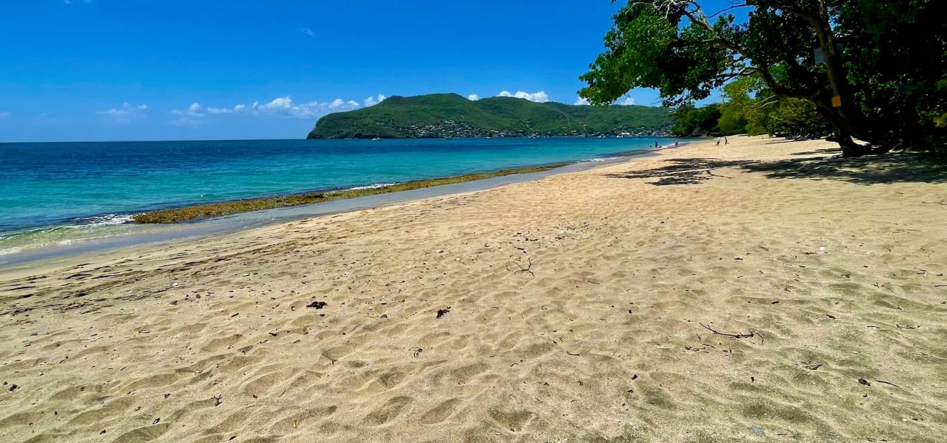 Lower Bay 1 Acre Prime Beachfront Land