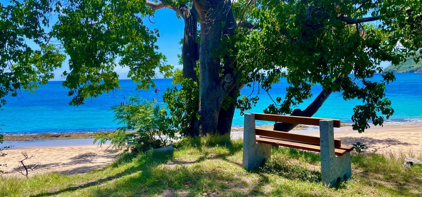 Lower Bay 1 Acre Prime Beachfront Land