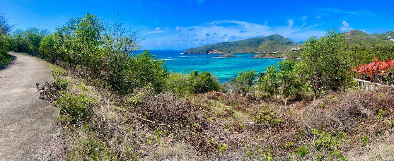 Premium Crescent View Land Plot 1