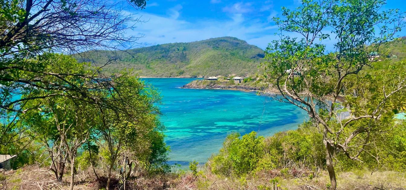 Premium Crescent View Land Plot 1