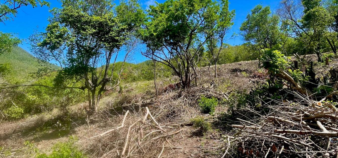 Premium Crescent View Land Plot 1