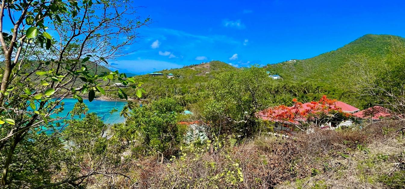 Premium Crescent View Land Plot 1