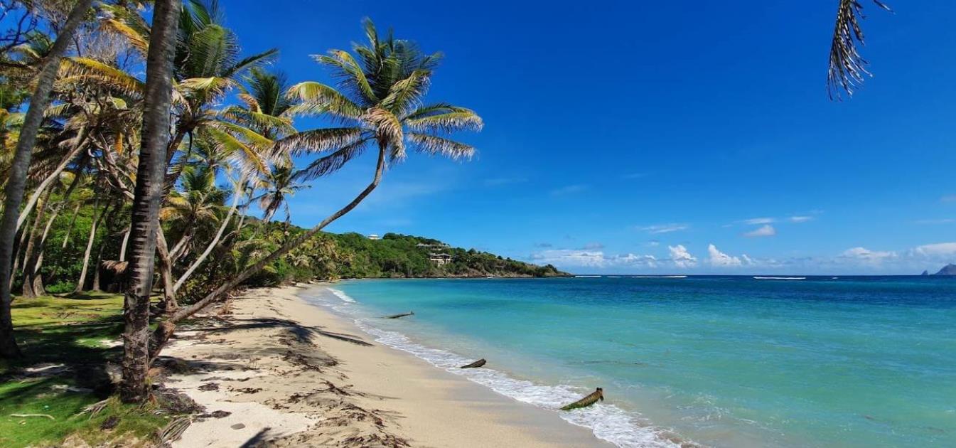 Premium Crescent View Land Plot 1