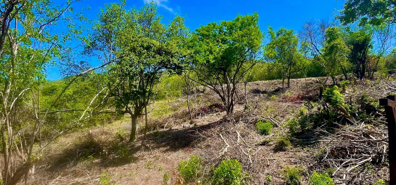 Premium Crescent View Land Plot 2