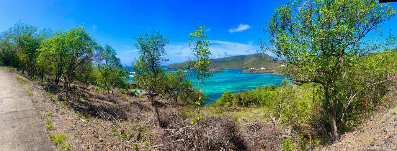 Premium Crescent View Land Plot 2