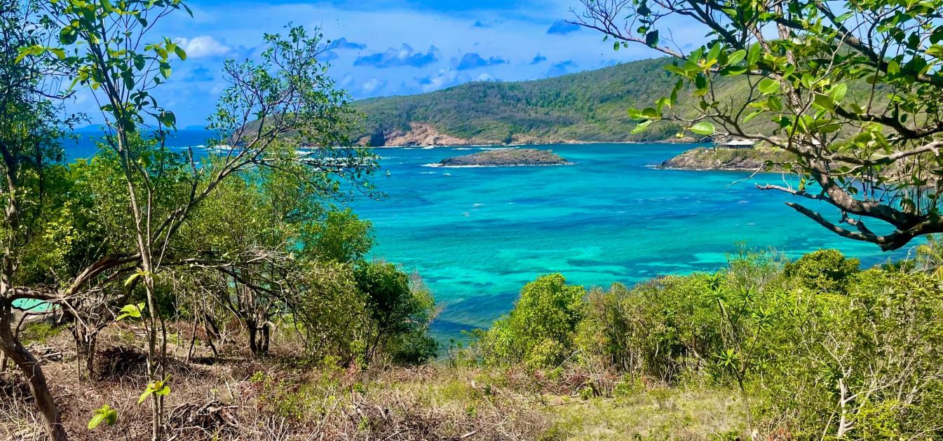 Premium Crescent View Land Plot 2