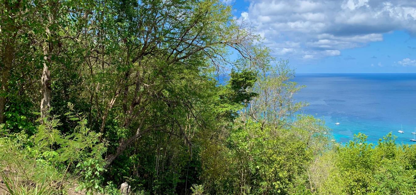 Bequia Estate Lot 10