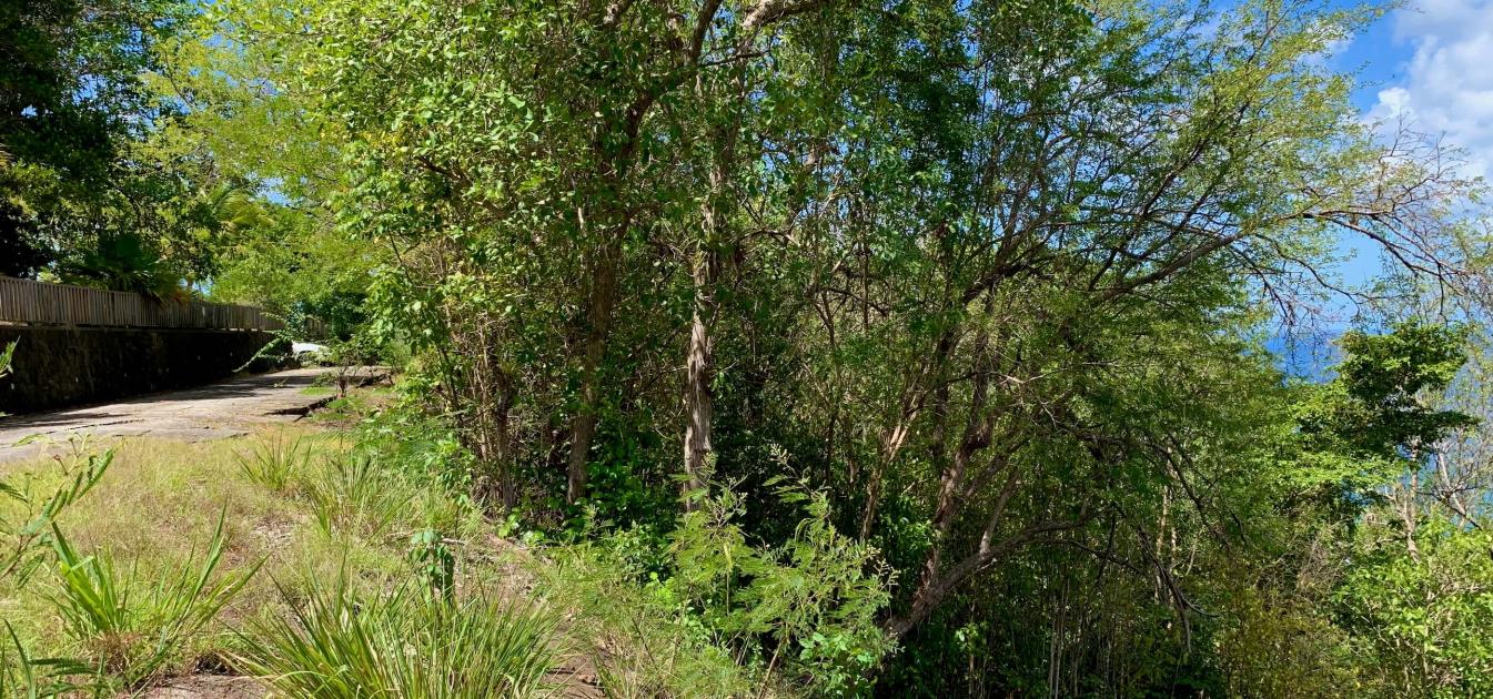 Bequia Estate Lot 10