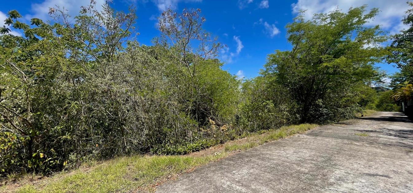 Bequia Estate Lot 10