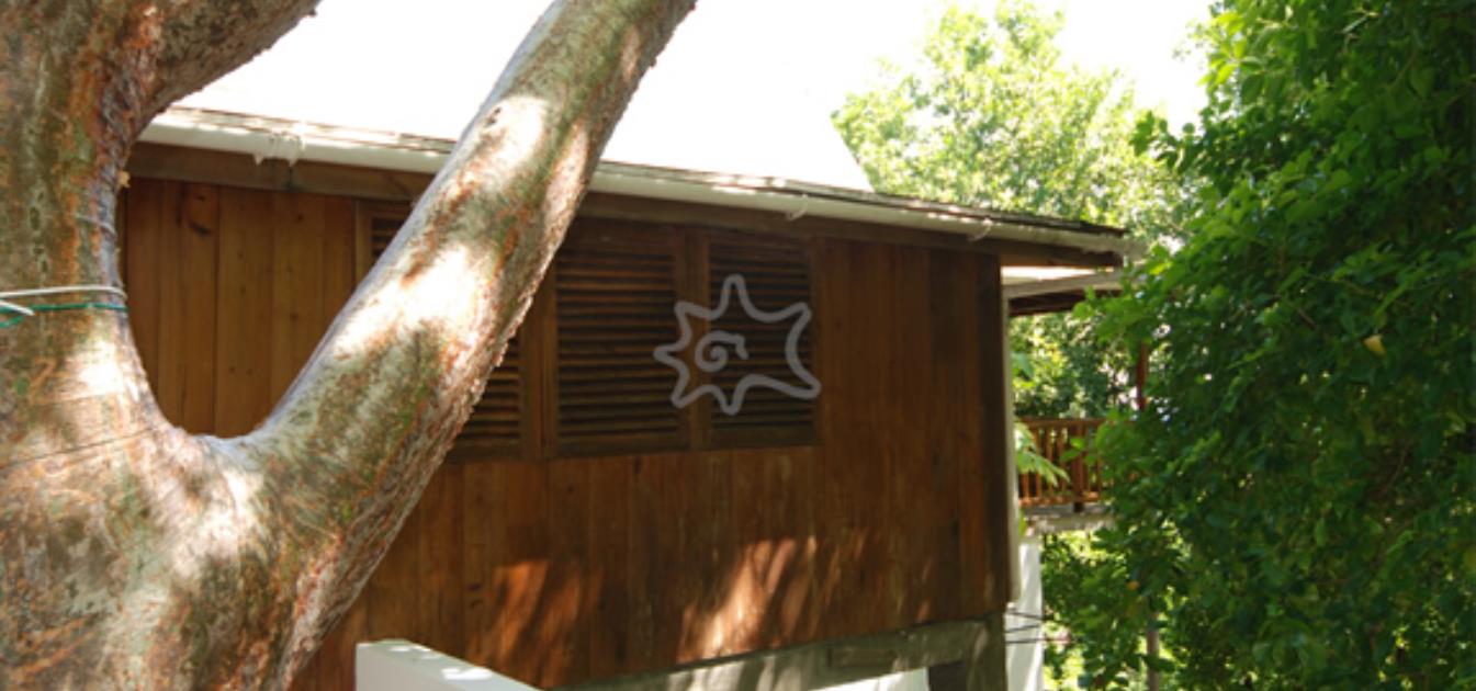 vacation-rentals/st-vincent-and-the-grenadines/bequia/spring/spring-cottage