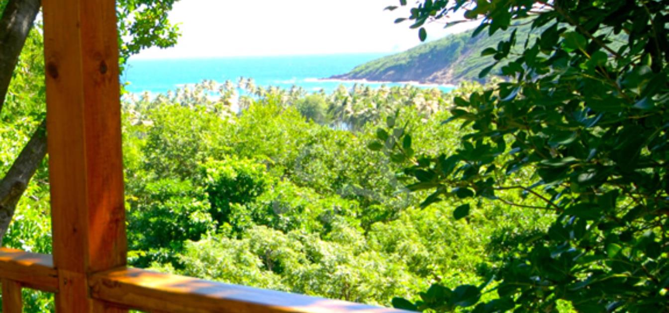 vacation-rentals/st-vincent-and-the-grenadines/bequia/spring/spring-cottage