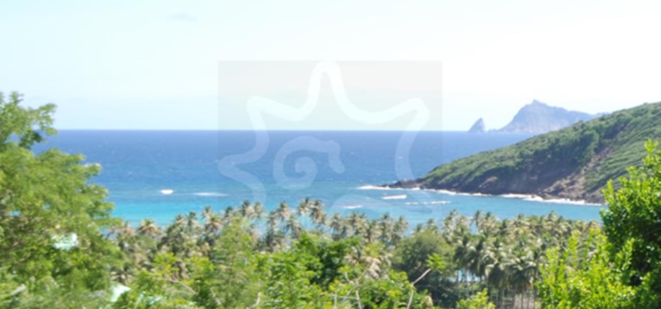 vacation-rentals/st-vincent-and-the-grenadines/bequia/spring/spring-cottage