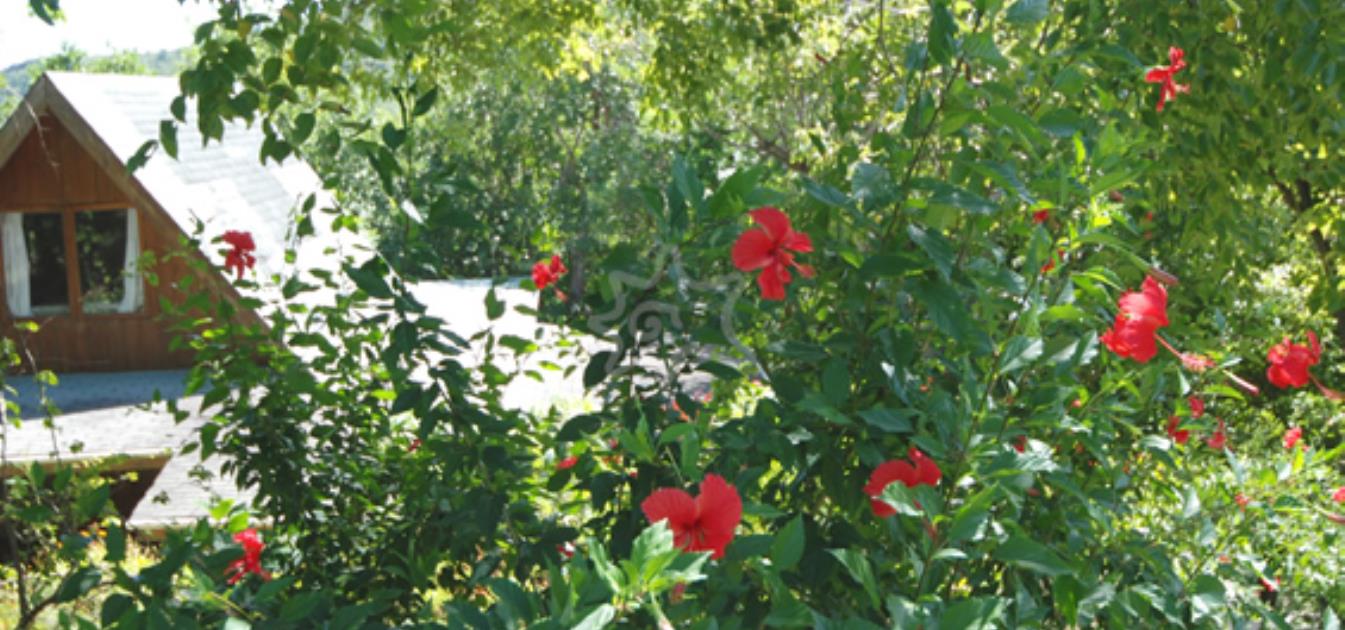 vacation-rentals/st-vincent-and-the-grenadines/bequia/spring/spring-cottage