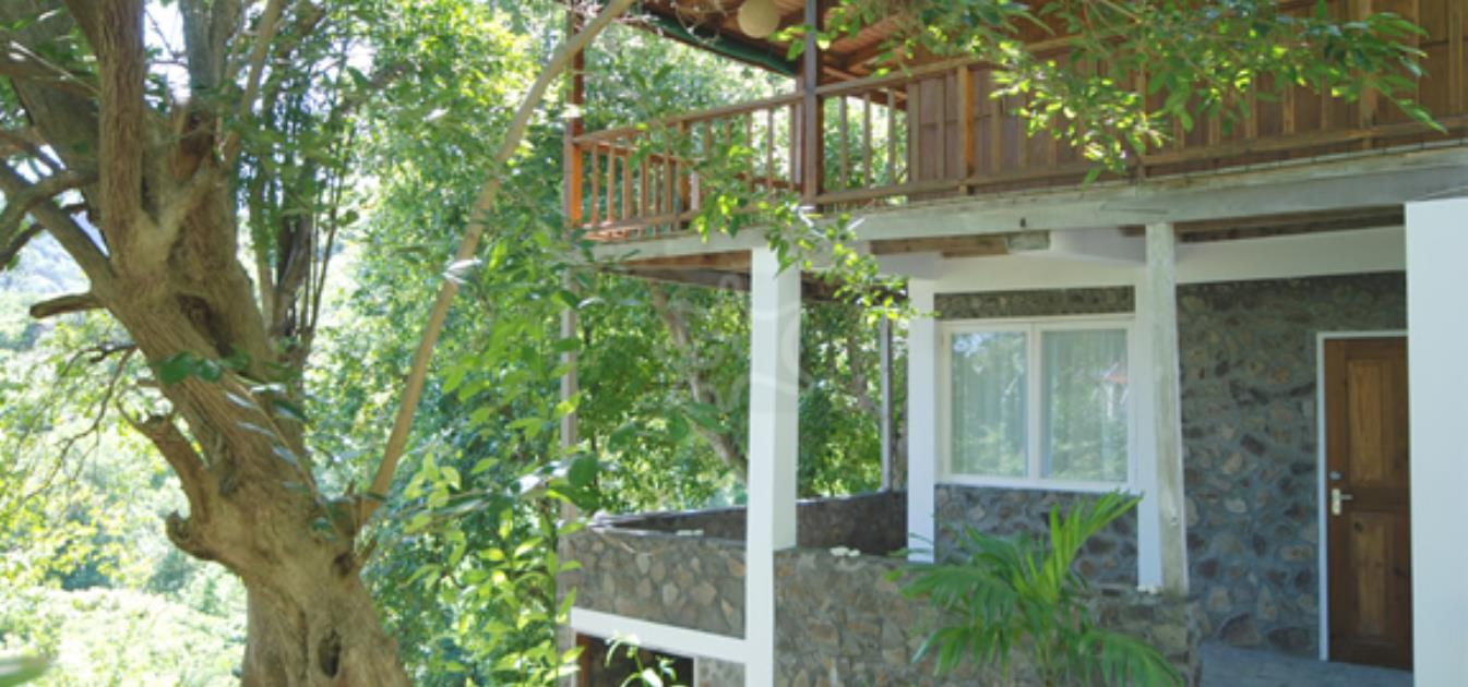 vacation-rentals/st-vincent-and-the-grenadines/bequia/spring/spring-cottage