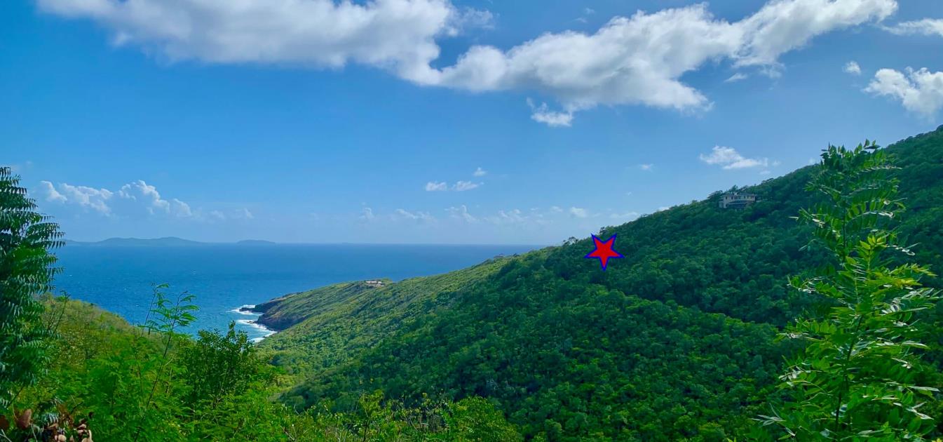 Friendship Heights Lot 31