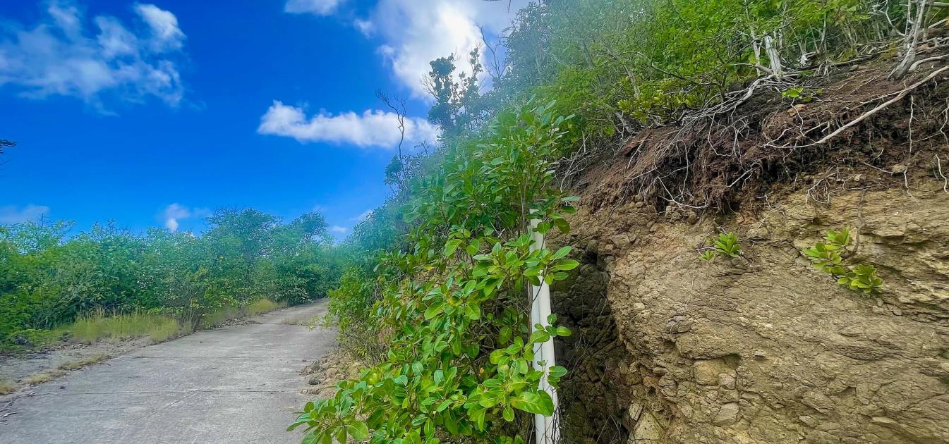 Friendship Heights Lot 31