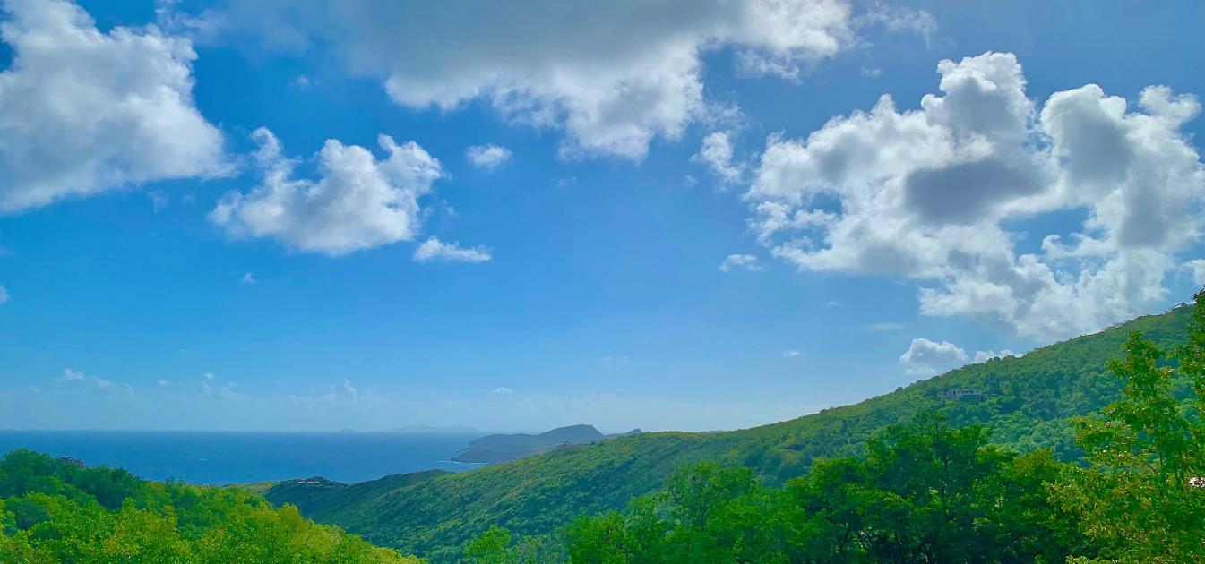 Friendship Heights Lot 31