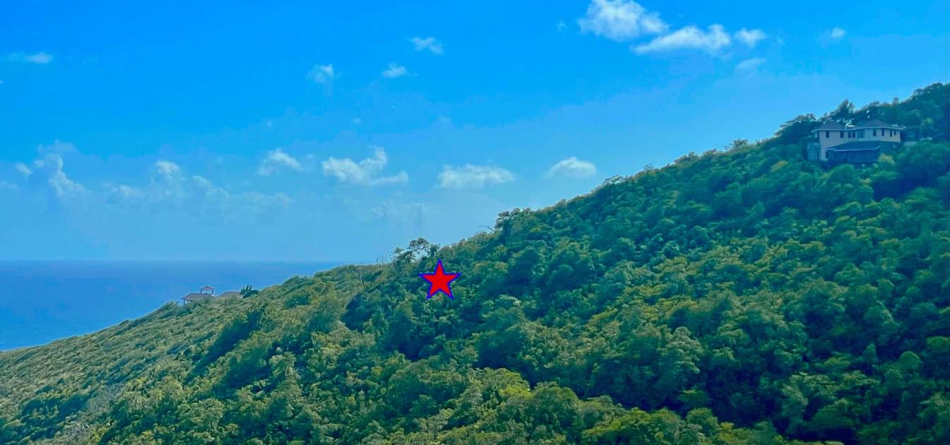 Friendship Heights Lot 31